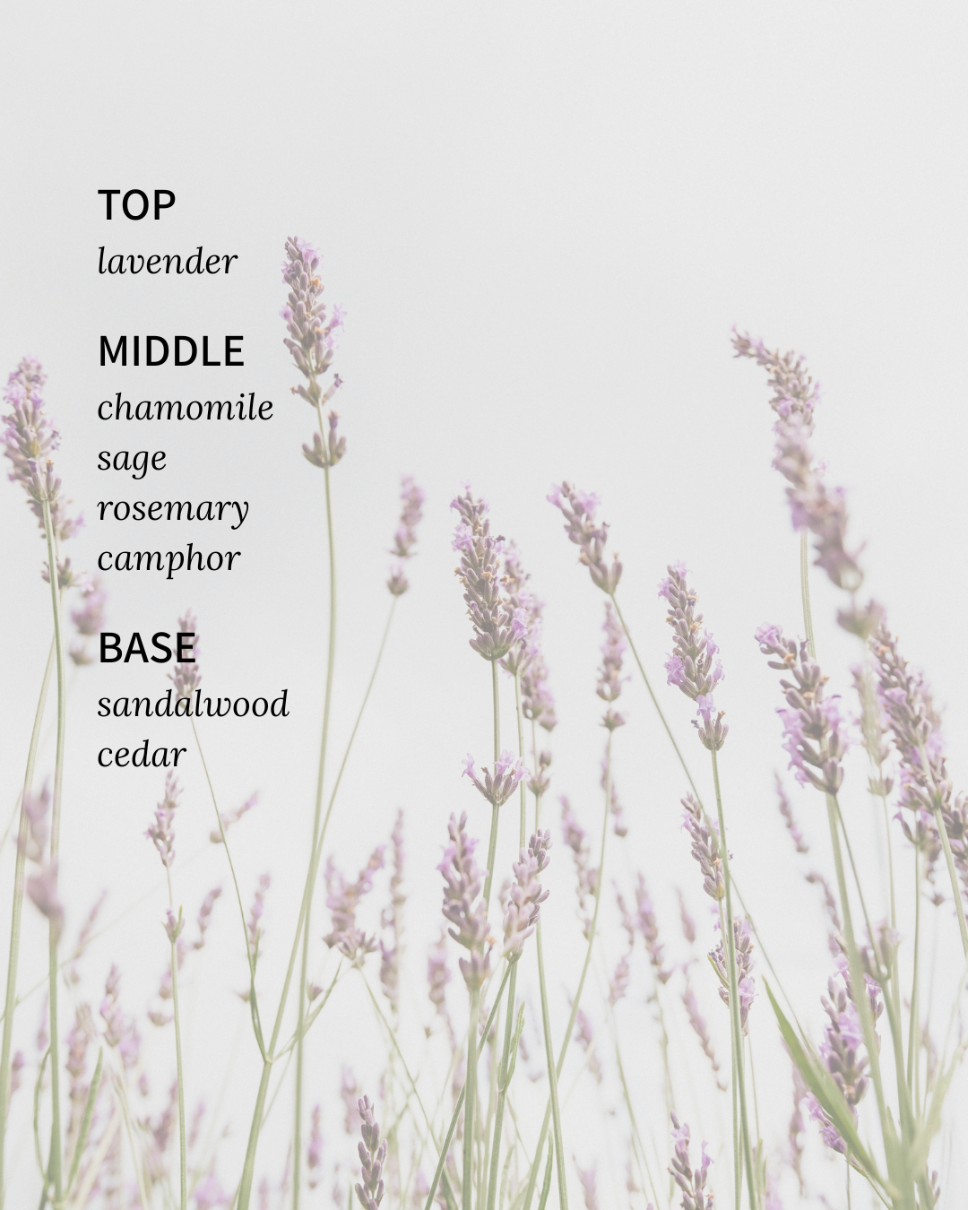 Grounded Classic 2-Wick Candle