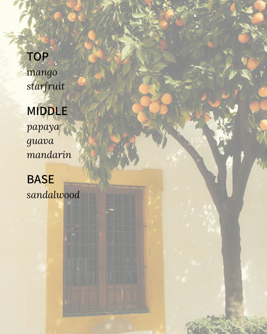 Sunkissed Classic 2-Wick Candle